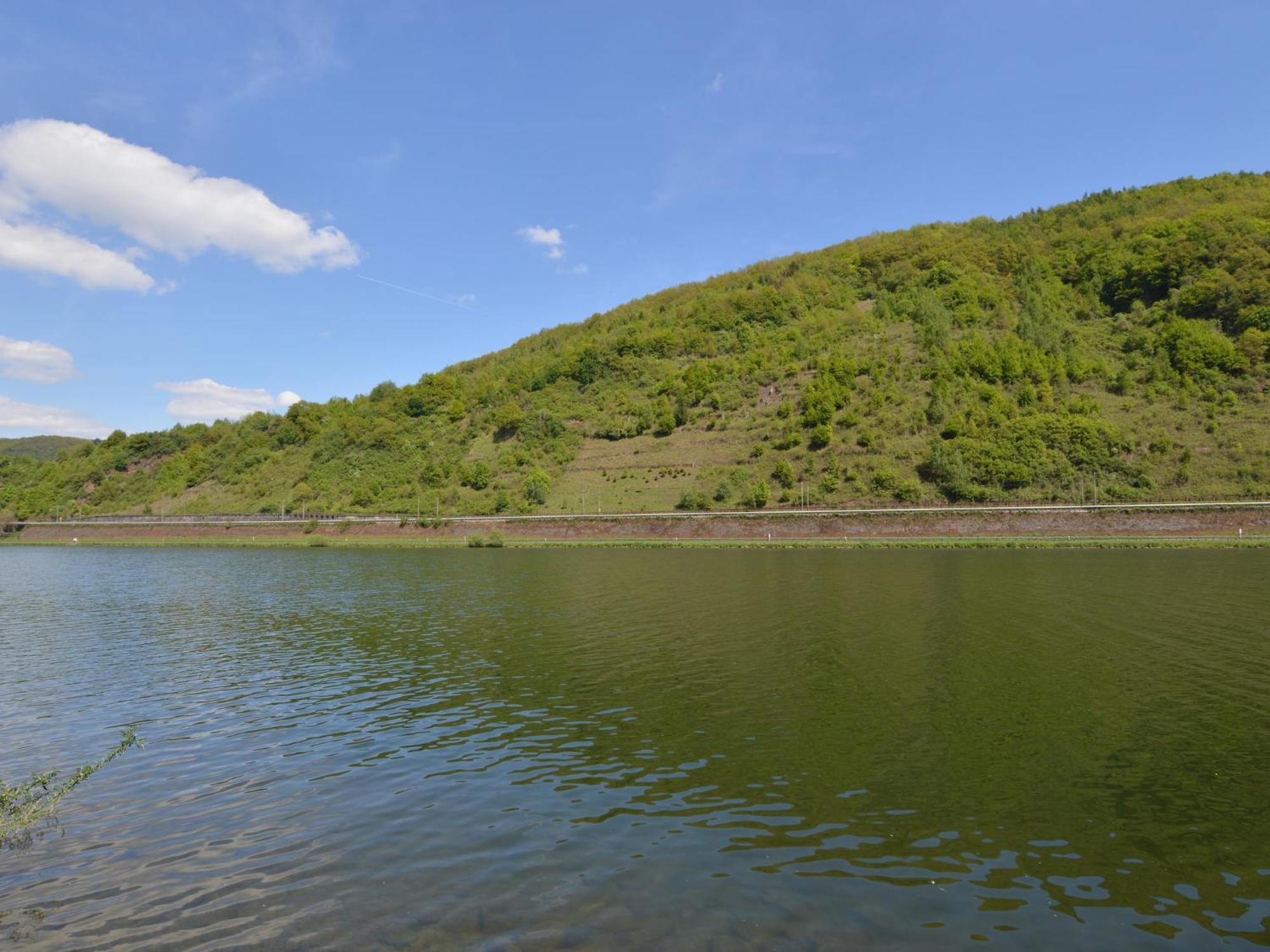 סנקט אלדגונד Comfortable Apartment In Ediger Eller Eifel מראה חיצוני תמונה